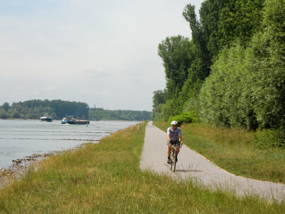 Radfahrer auf dem Radwanderweg Rheinauen