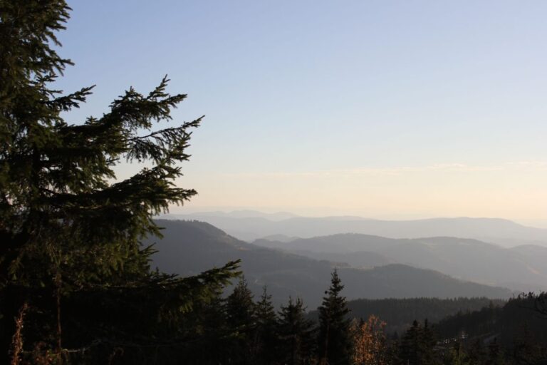 Ausblick-Schwarzwaldhochstraße