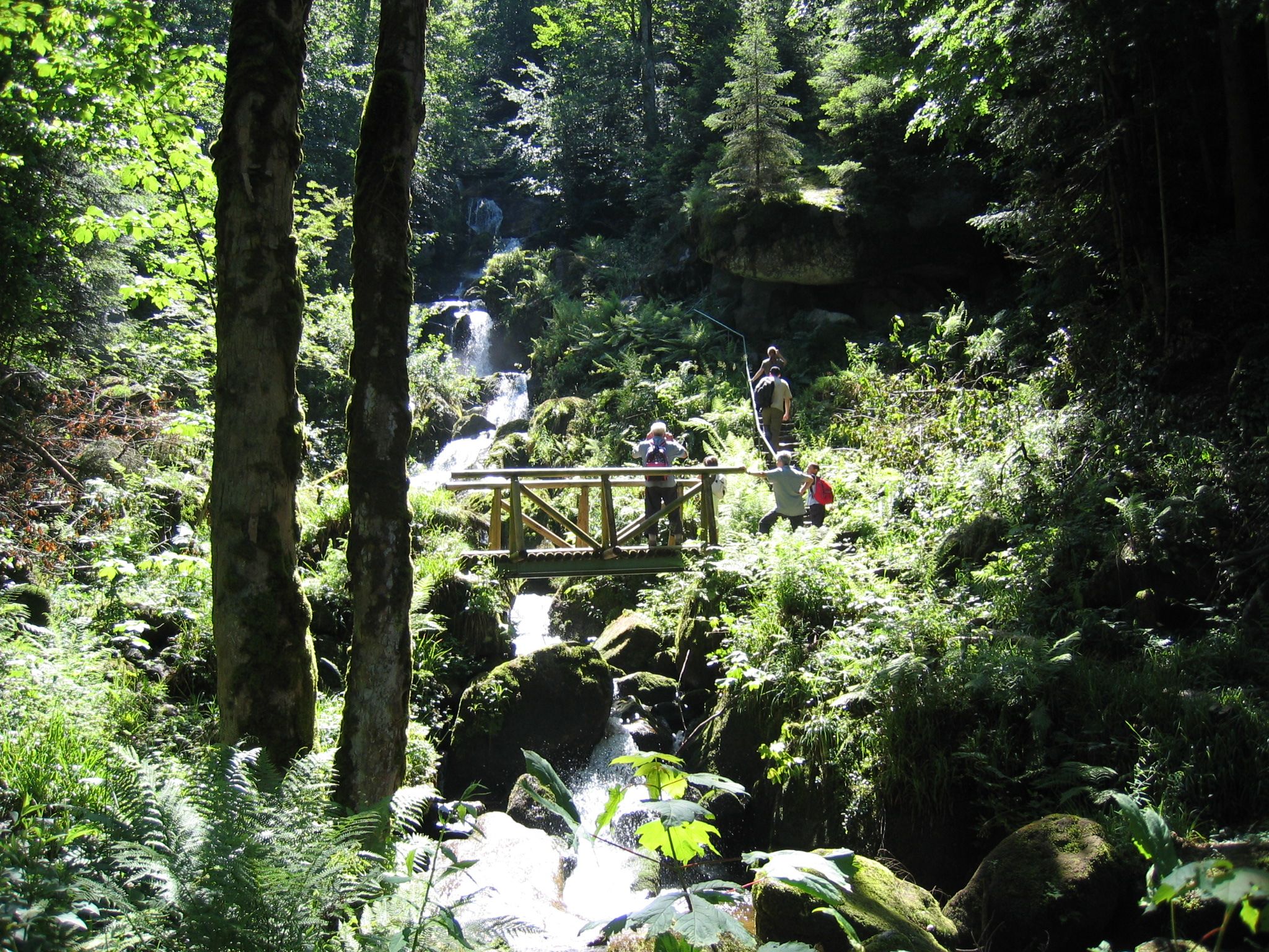 Geocaching in Bühlertal