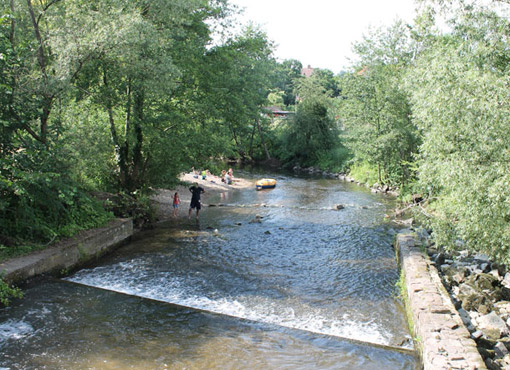 Lebensader Oberrhein