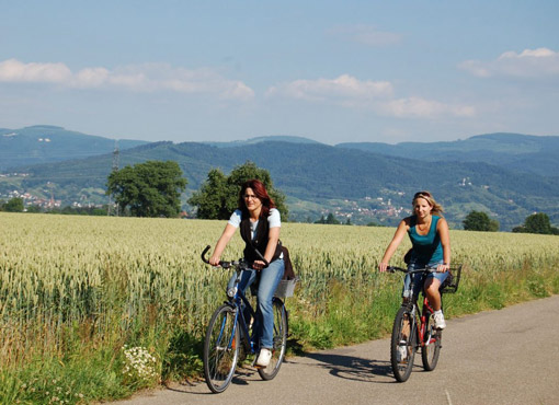 Fahrradparadies Landkreis Rastatt