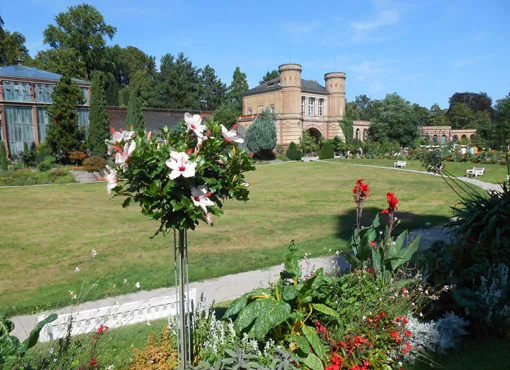 Botanischer Garten