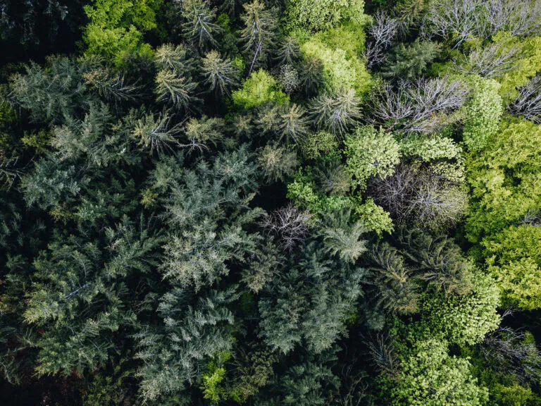 Natur mit allen Sinnen wahrnehmen