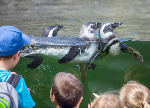 Zoologischer Stadtgarten Karlsruhe